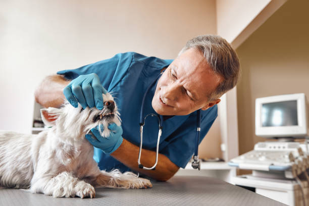 Best Emergency Gum Treatment in Ramblewood, NJ